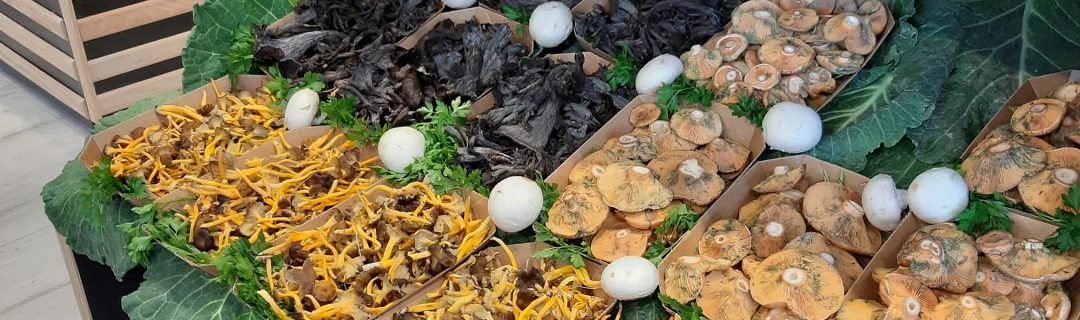 Exposición setas y verduras fruterías Diec
